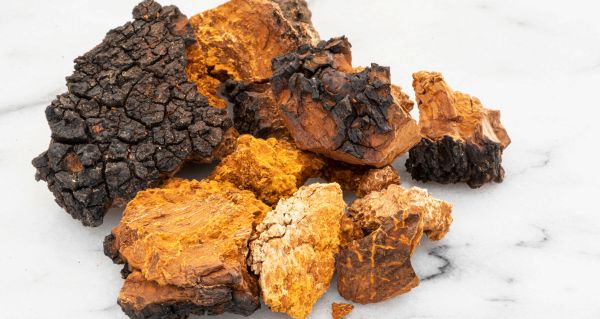 Chaga