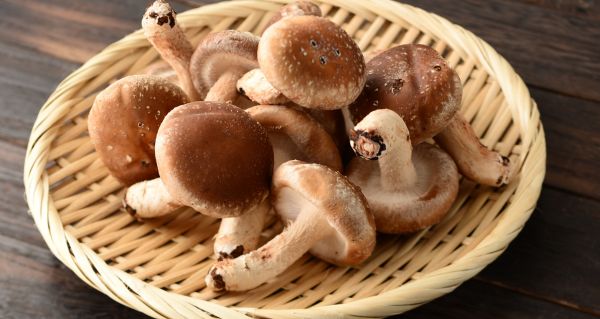 shiitake